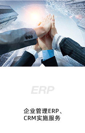 企业管理ERP、CRM实施服务